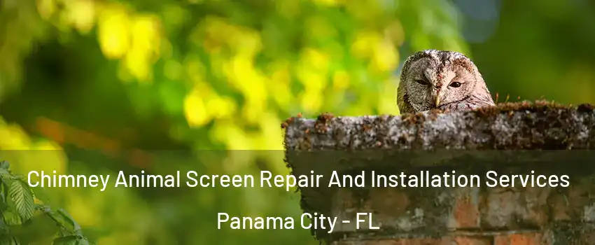  Chimney Animal Screen Repair And Installation Services Panama City - FL