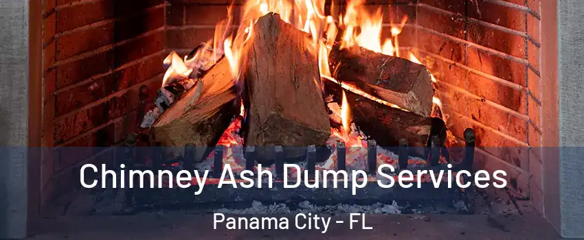  Chimney Ash Dump Services Panama City - FL