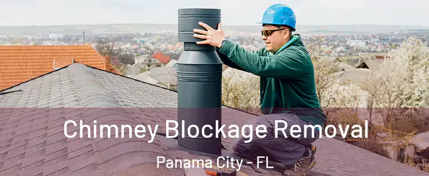  Chimney Blockage Removal Panama City - FL