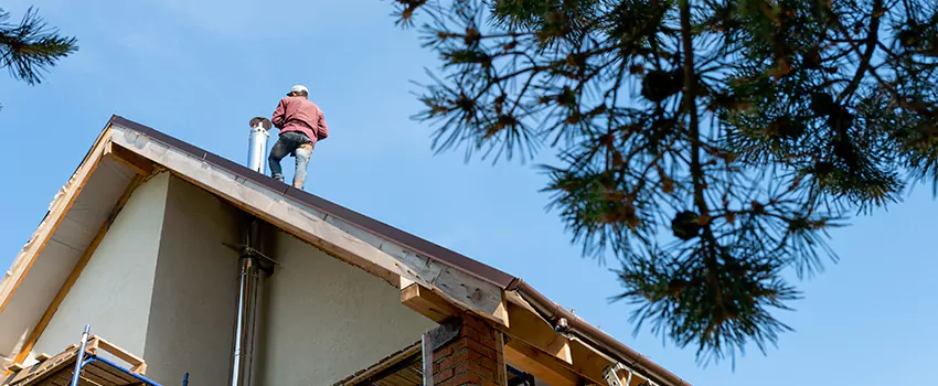 Birds Removal Contractors from Chimney in Panama City, FL
