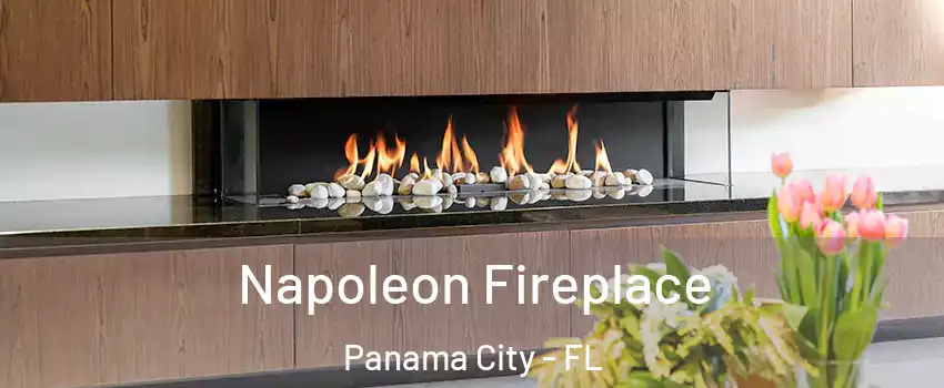  Napoleon Fireplace Panama City - FL